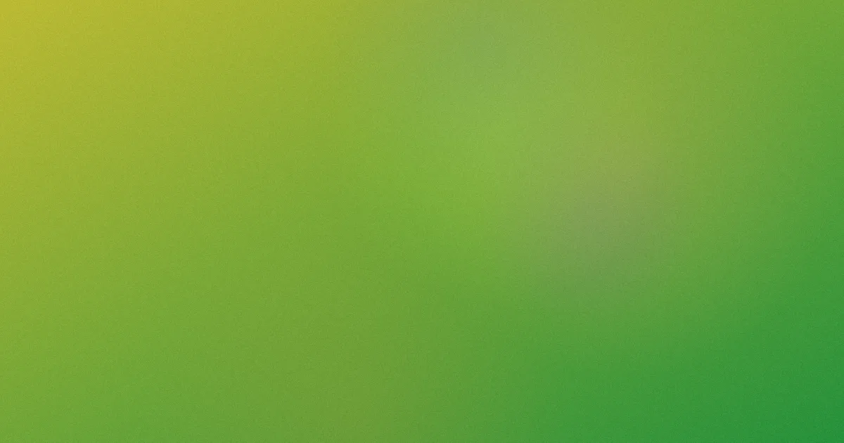 国产精品视频推荐：新手这样选